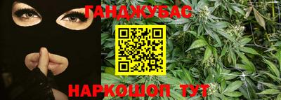 индика Пенза