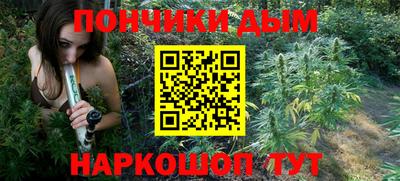 индика Пенза